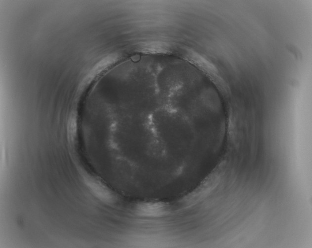 X0000114520202200910191202