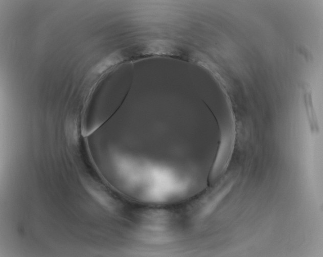 X0000114520203200910191202