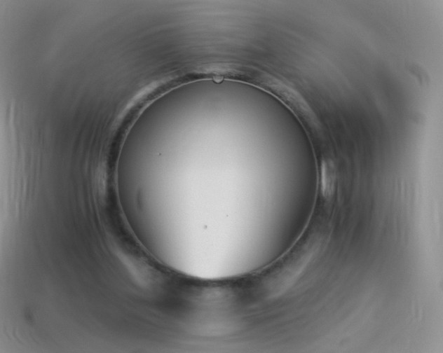 X0000114520204200910191202