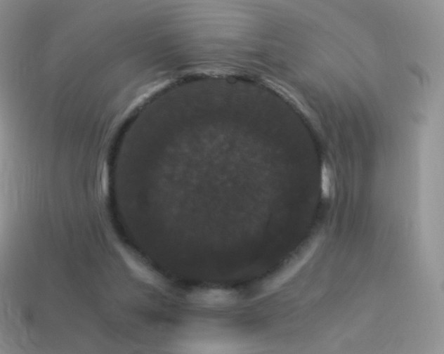 X0000114520205200910191202