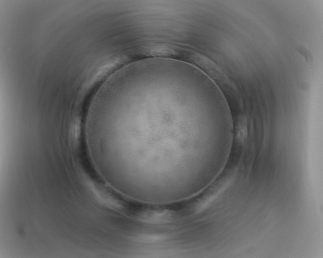 X0000114520206200910191202