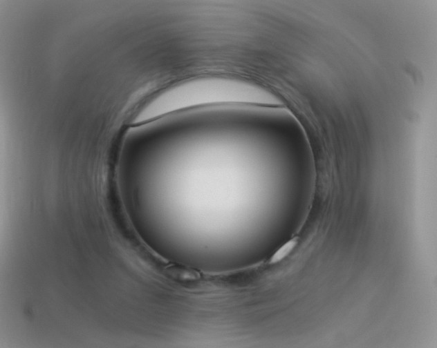 X0000114520207200910191202