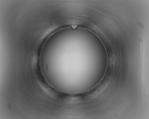 X0000114520208200910191202