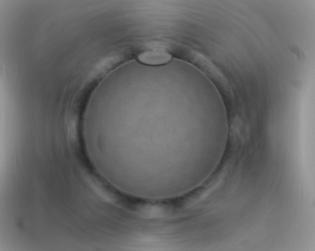 X0000114520209200910191202