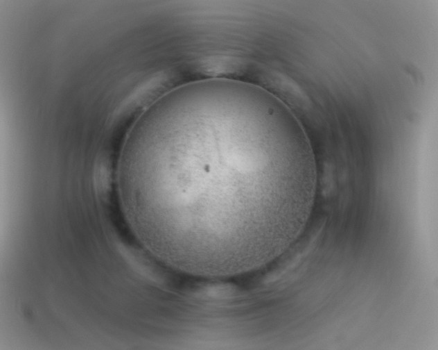 X0000114520210200910191202