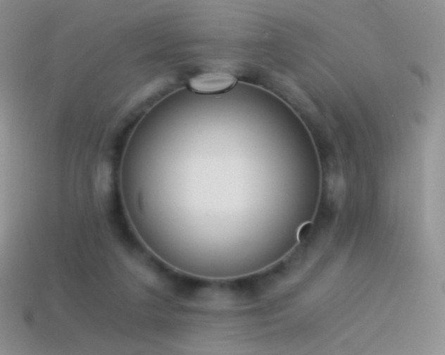 X0000114520211200910191202