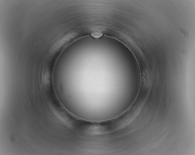 X0000114520212200910191202