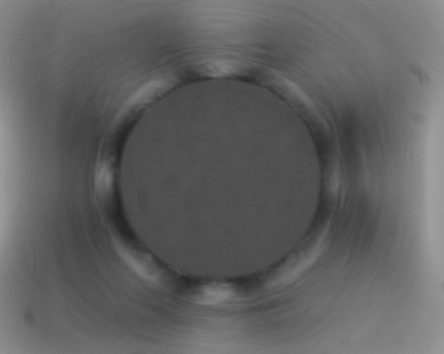 X0000114520214200910191201