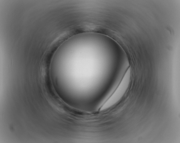 X0000114520215200910191201