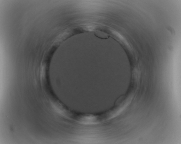 X0000114520217200910191201