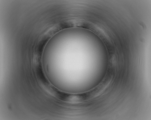 X0000114520218200910191201