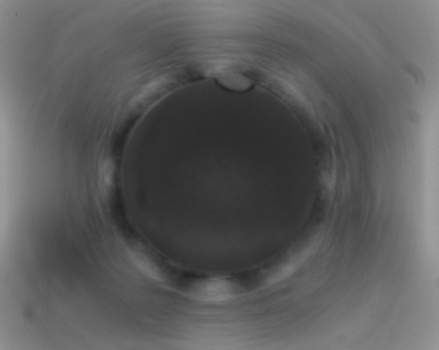 X0000114520219200910191201