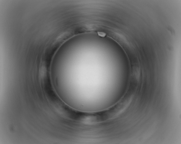 X0000114520220200910191201