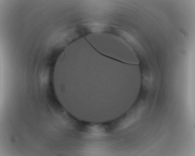 X0000114520221200910191201