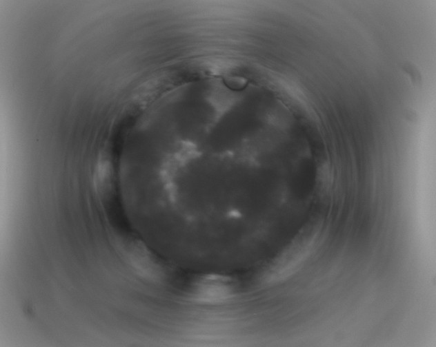 X0000114520222200910191201