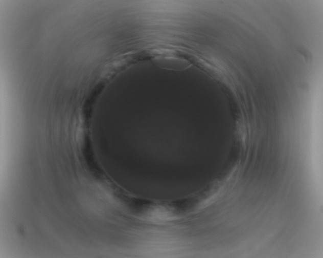 X0000114520223200910191201