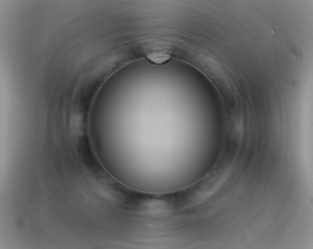 X0000114520224200910191201