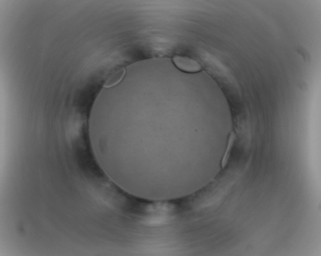 X0000114520225200910191201