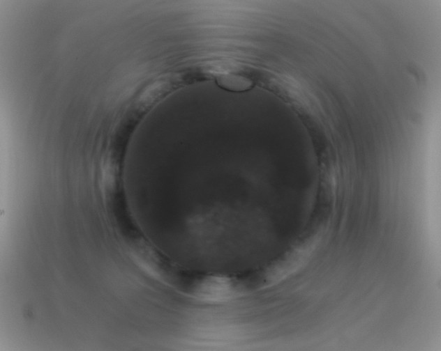 X0000114520227200910191201