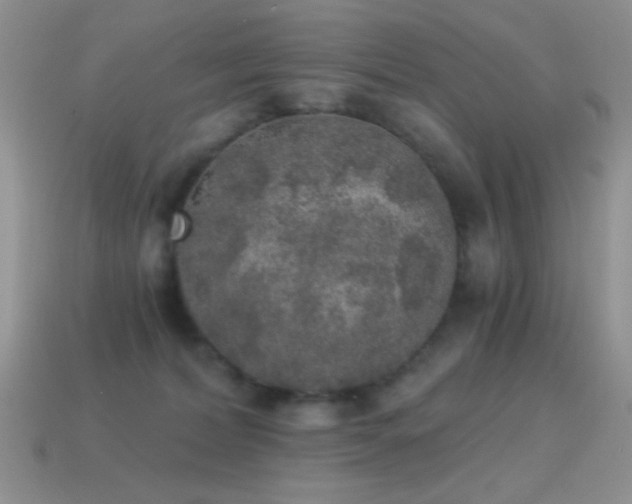 X0000114520228200910191201