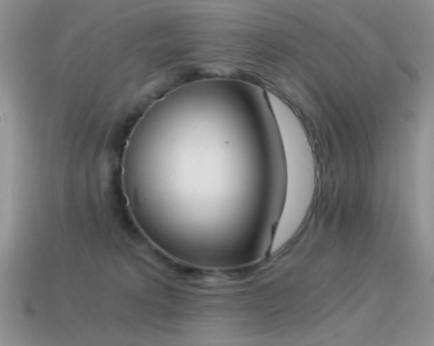 X0000114520229200910191201