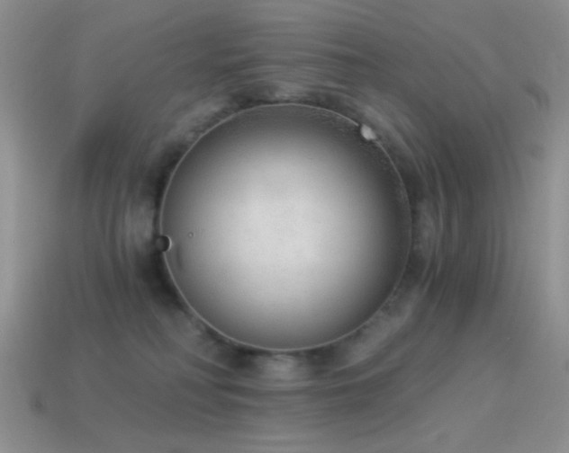 X0000114520230200910191201