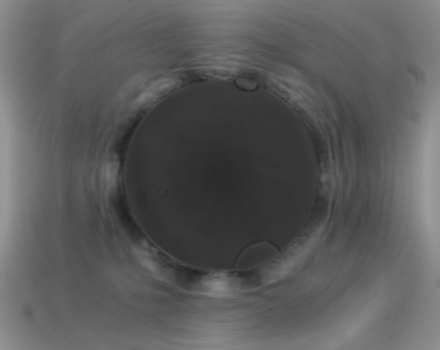 X0000114520231200910191201