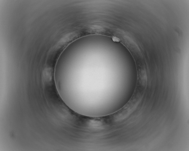 X0000114520232200910191201