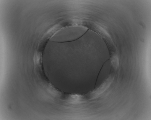 X0000114520233200910191201