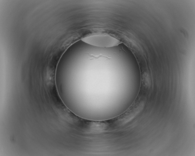 X0000114520234200910191201