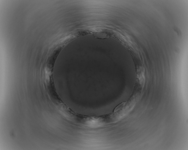 X0000114520235200910191201