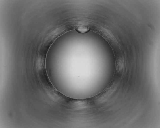 X0000114520236200910191201