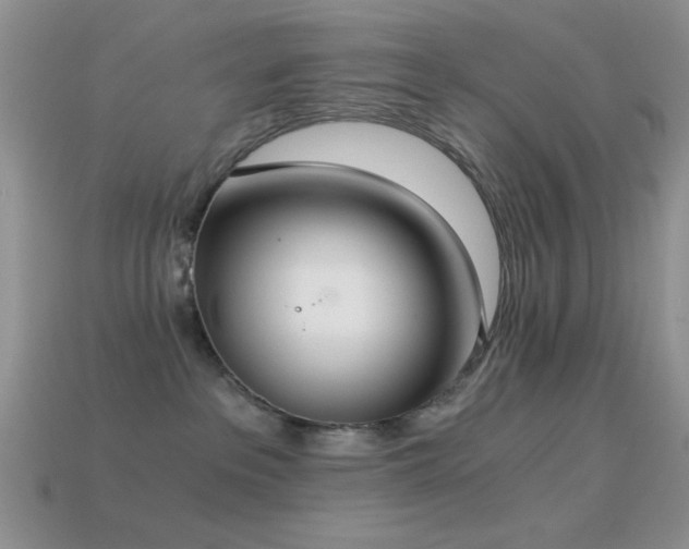 X0000114520237200910191201