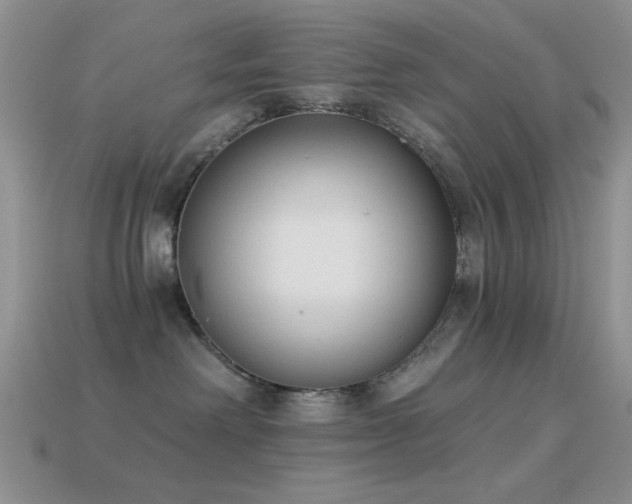 X0000114520238200910191201