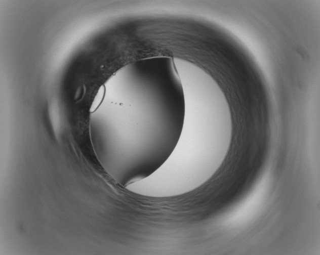 X0000114520239200910191201