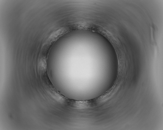 X0000114520240200910191201