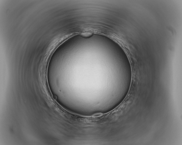 X0000114520241200910191200