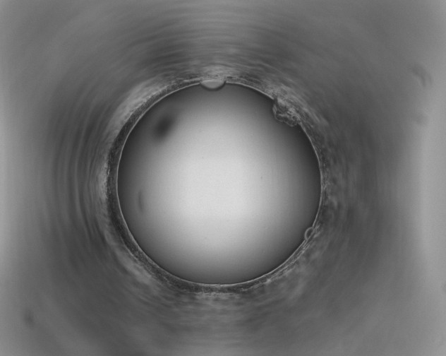 X0000114520242200910191200