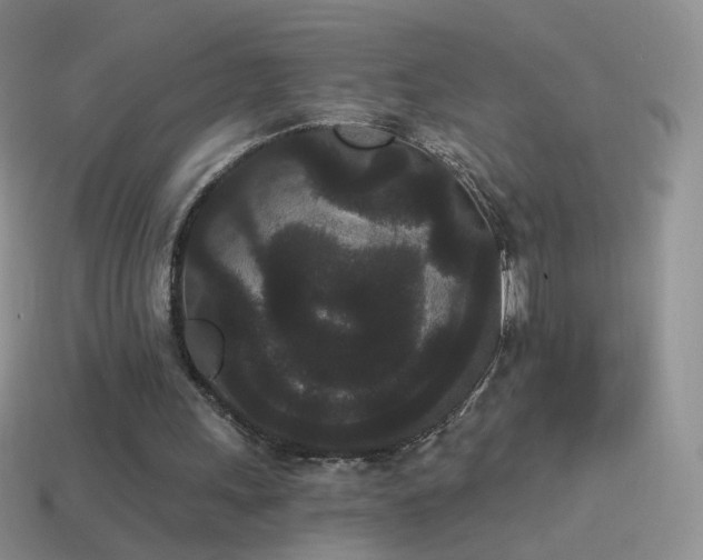 X0000114520243200910191200