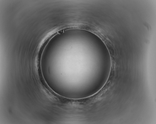 X0000114520244200910191200