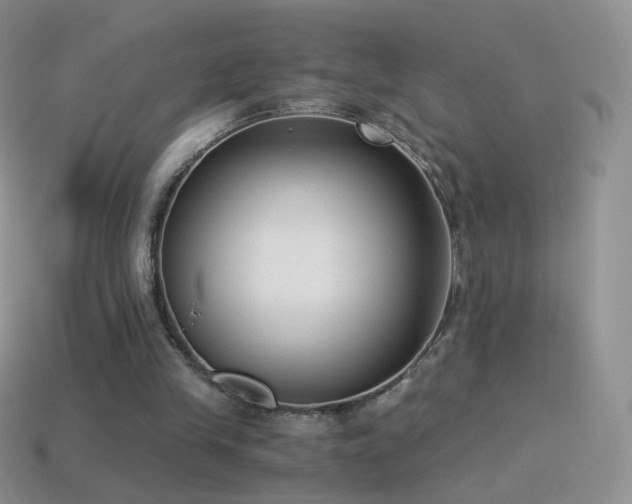 X0000114520245200910191200