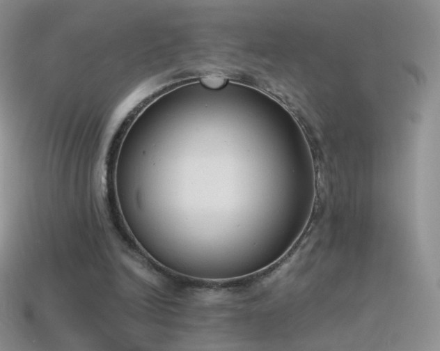 X0000114520246200910191201