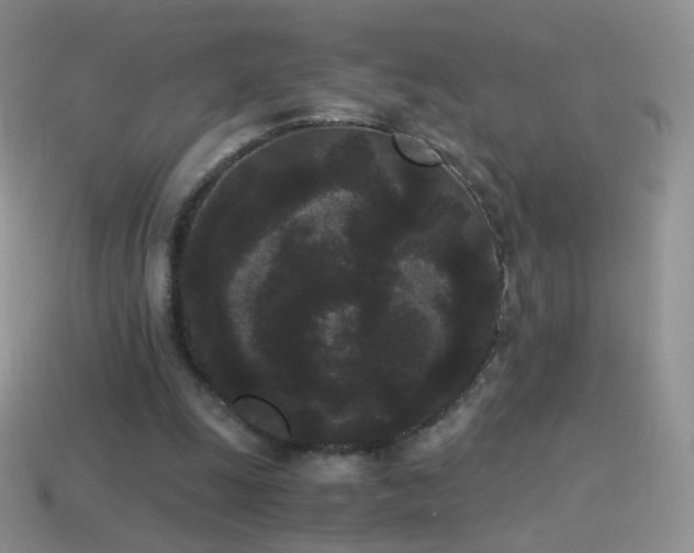 X0000114520247200910191201