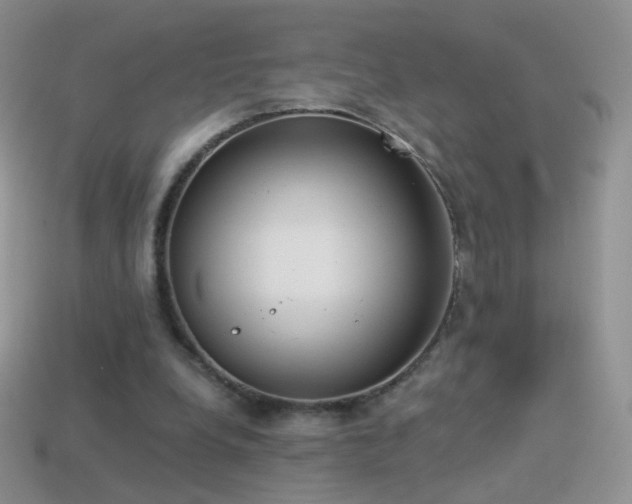 X0000114520248200910191201