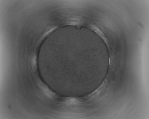 X0000114520249200910191201