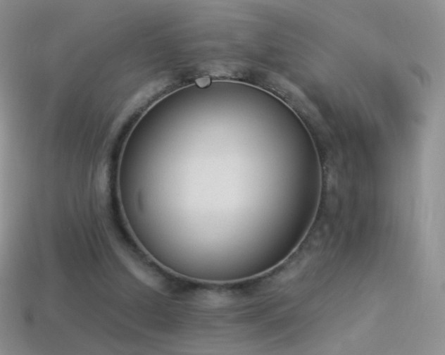 X0000114520250200910191201