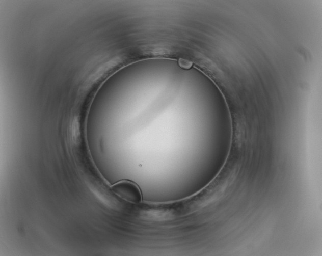 X0000114520251200910191201