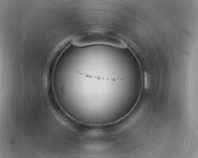 X0000114520252200910191201