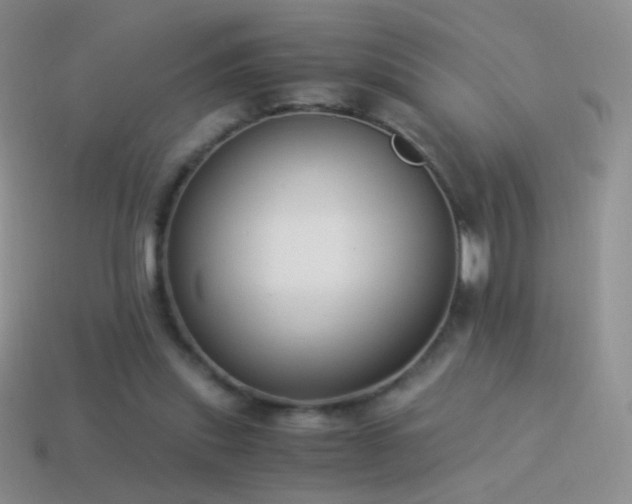 X0000114520253200910191201