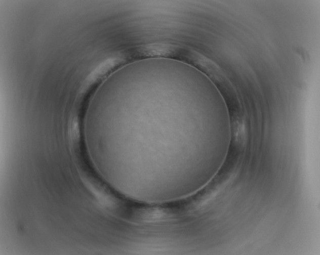 X0000114520254200910191201